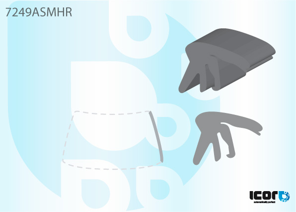RENAULT LAGUNA II 2001- WS RIGHT MOULDING